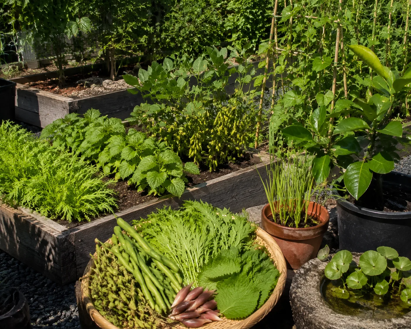 Ces 7 légumes japonais méconnus à glisser dans votre potager cet été